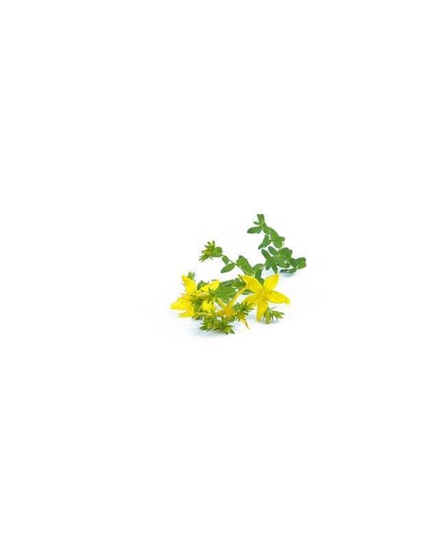 Johanniskraut 15g