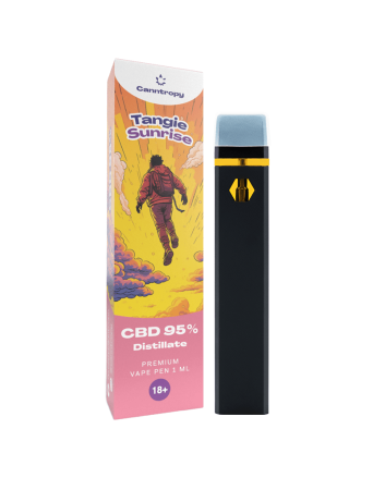 Canntropy CBD Einweg-Vape-Stift – Tangie Sunrise, CBD 95 %, 1 ml