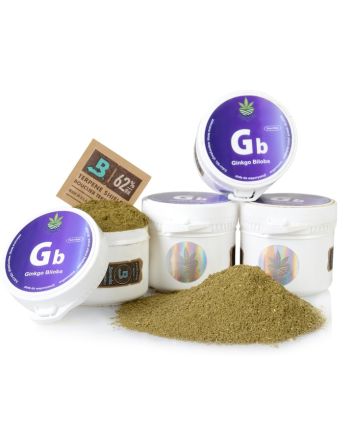 Ginkgo Biloba zur Verdampfung, trockene Kräuter für das Gedächtnis