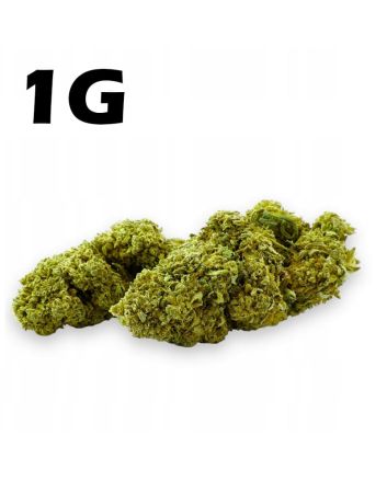  Hanf Dürre CBD 4,2% Amnesia Haze 1g