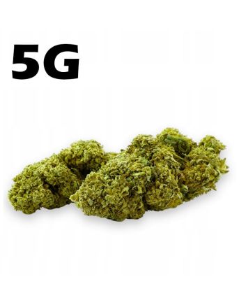  Hanf Dürre CBD 4,2% Amnesia Haze 5g