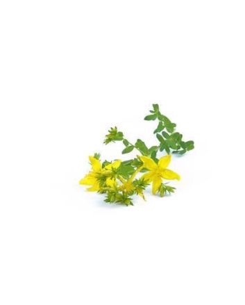 Johanniskraut 15g