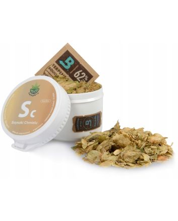 Hopfenzapfen – Kräuter für die Vaporisierung