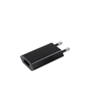 USB AC Charger
