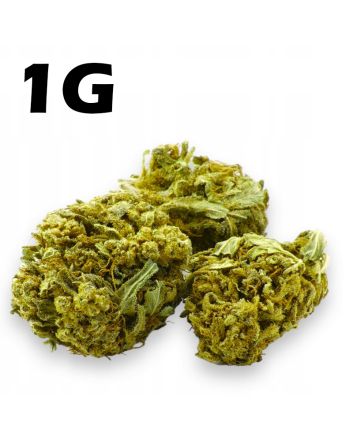  Hanf Dürre CBD 4% Lemon Haze 1g