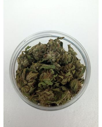 CBG getrocknete Hanfblüten 50 Gramm 13% CBG Cannabigerol