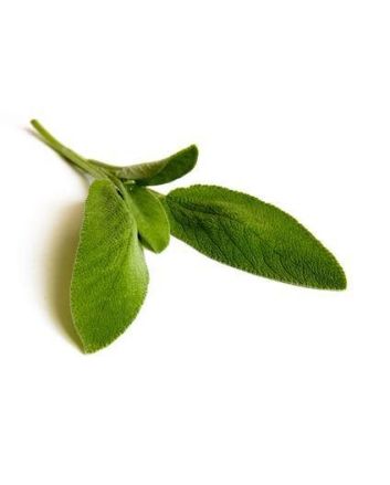 Salbei 15g