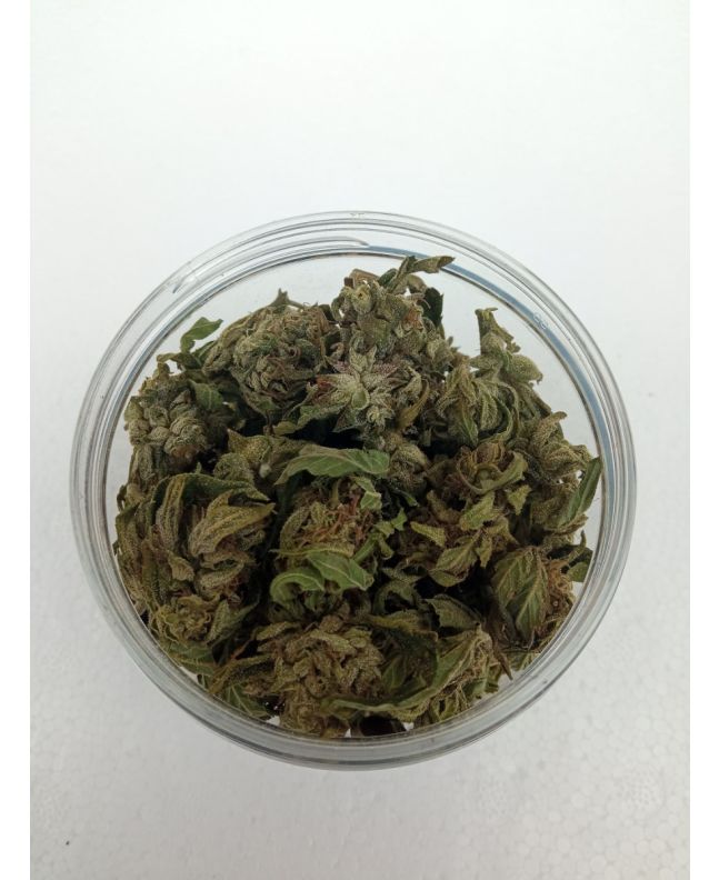 Getrocknete CBG-Hanfblüten 5 Gramm 13 % CBG-Cannabigerol